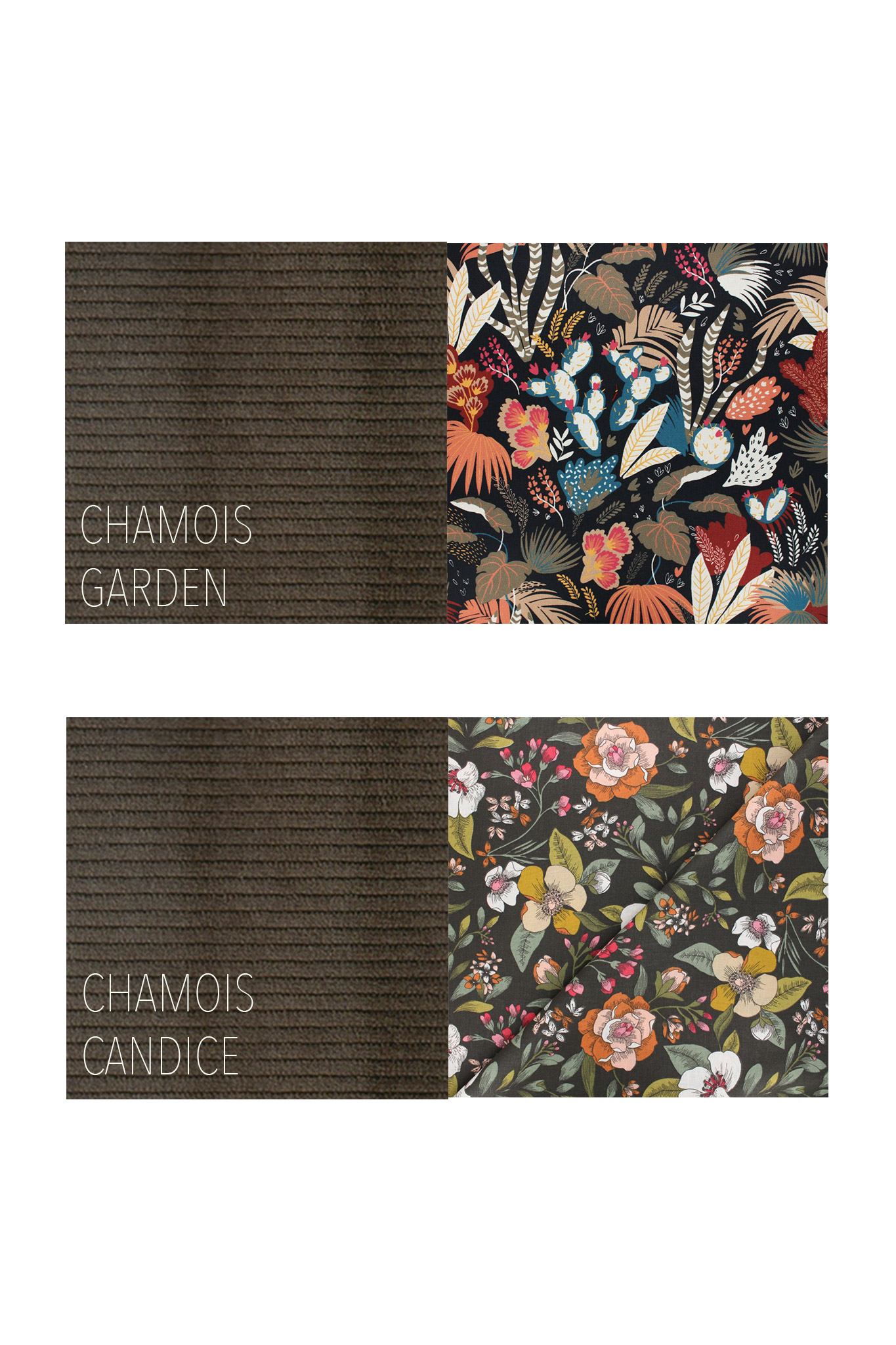 CHAMOIS